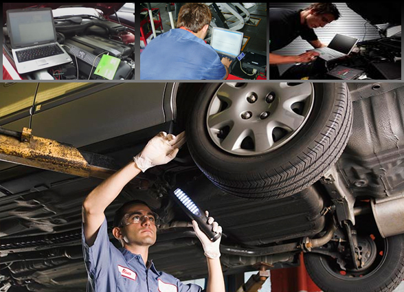 Ford Oto Eksperliği